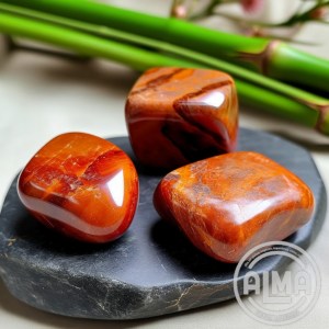 Jaspe Sardo  en grupo de 3 sobre piedra con logo9